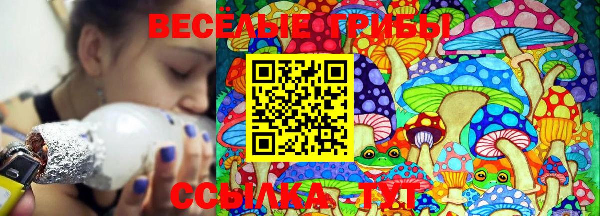 Галлюциногенные грибы мухоморы Ейск