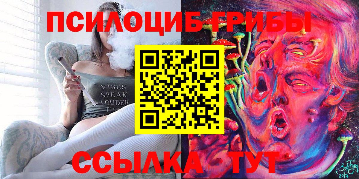 Псилоцибиновые грибы Cubensis  Вход с VPN  Ейск 